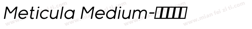 Meticula Medium字体转换